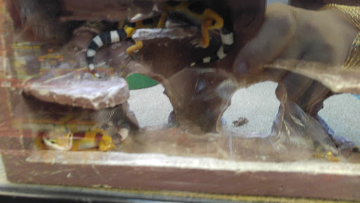 Pet Supply Store «Petco Animal Supplies», reviews and photos, 10383 Reisterstown Rd, Owings Mills, MD 21117, USA