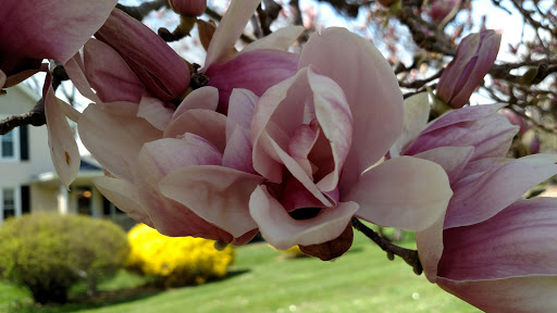 Museum «Curwood Castle Museum», reviews and photos, 224 Curwood Castle Dr, Owosso, MI 48867, USA