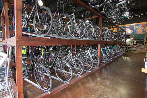 Bicycle Store «Bicycles Plus», reviews and photos, 190 E Stacy Rd #1704, Allen, TX 75002, USA