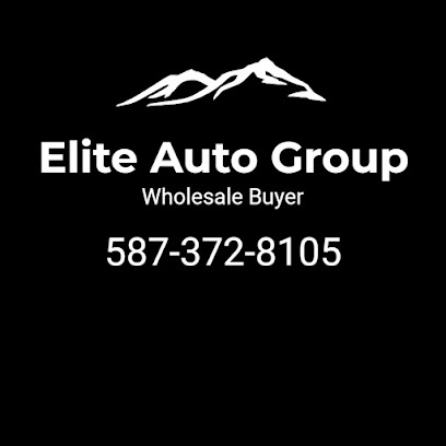 Elite Auto Group