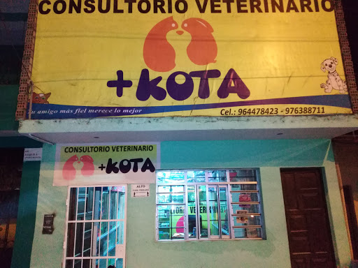 Consultorio Veterinario +kota