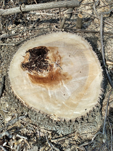 Park «Bass Lake Park», reviews and photos, 3450 Glenhurst Ave, Minneapolis, MN 55416, USA