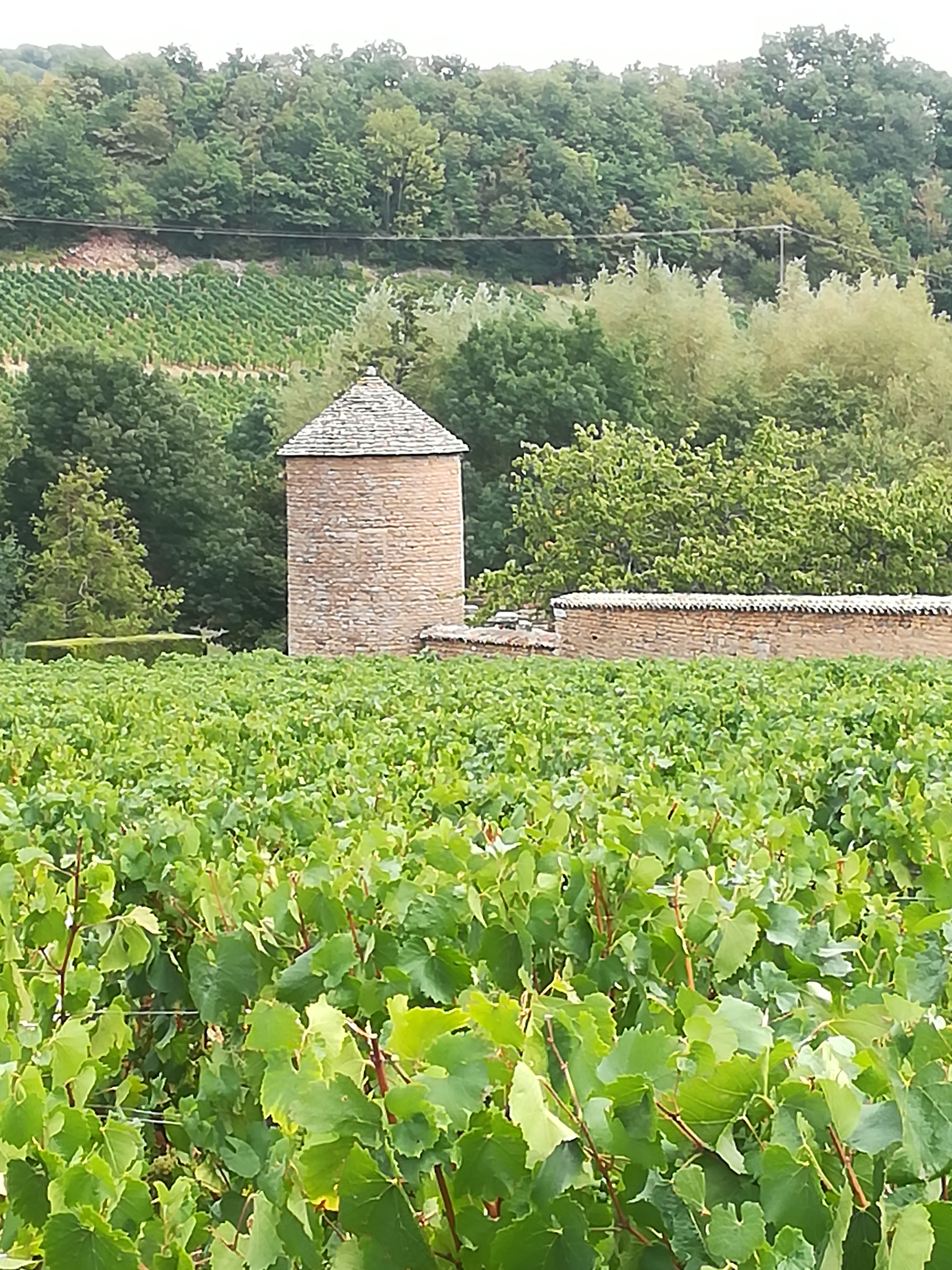 Photo n° 3 de l'avis de Pieter.a fait le 07/09/2018 à 11:12