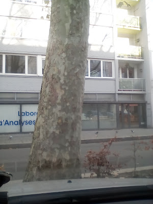 BIOGROUP DIAGNOVIE - Laboratoire Villeneuve-d'Ascq Résidence à Villeneuve-d'Ascq