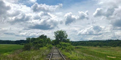 Scenic RailRiders