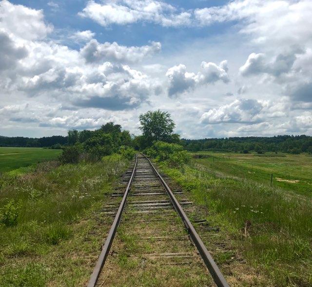 Scenic RailRiders