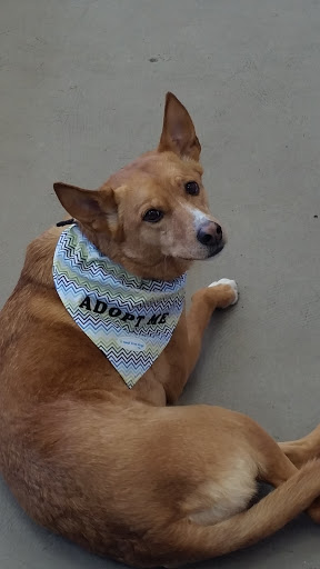 Pet Supply Store «All Natural Pet Supply», reviews and photos, 10501 NE Hwy 99 # 39, Vancouver, WA 98686, USA