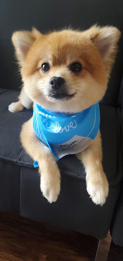 Pet Supply Store «PetSmart», reviews and photos, 1417 W Interstate 240 Service Rd, Oklahoma City, OK 73159, USA