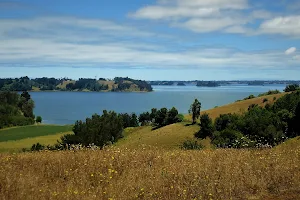 Budi Lake image