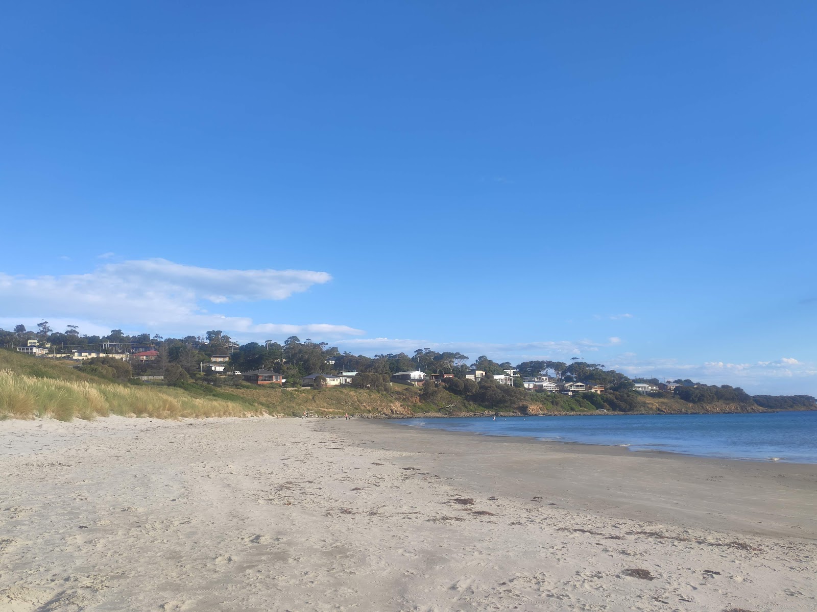 Primrose Sands Beach'in fotoğrafı ve yerleşim