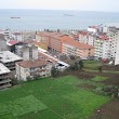 Ktü Trabzon Myo