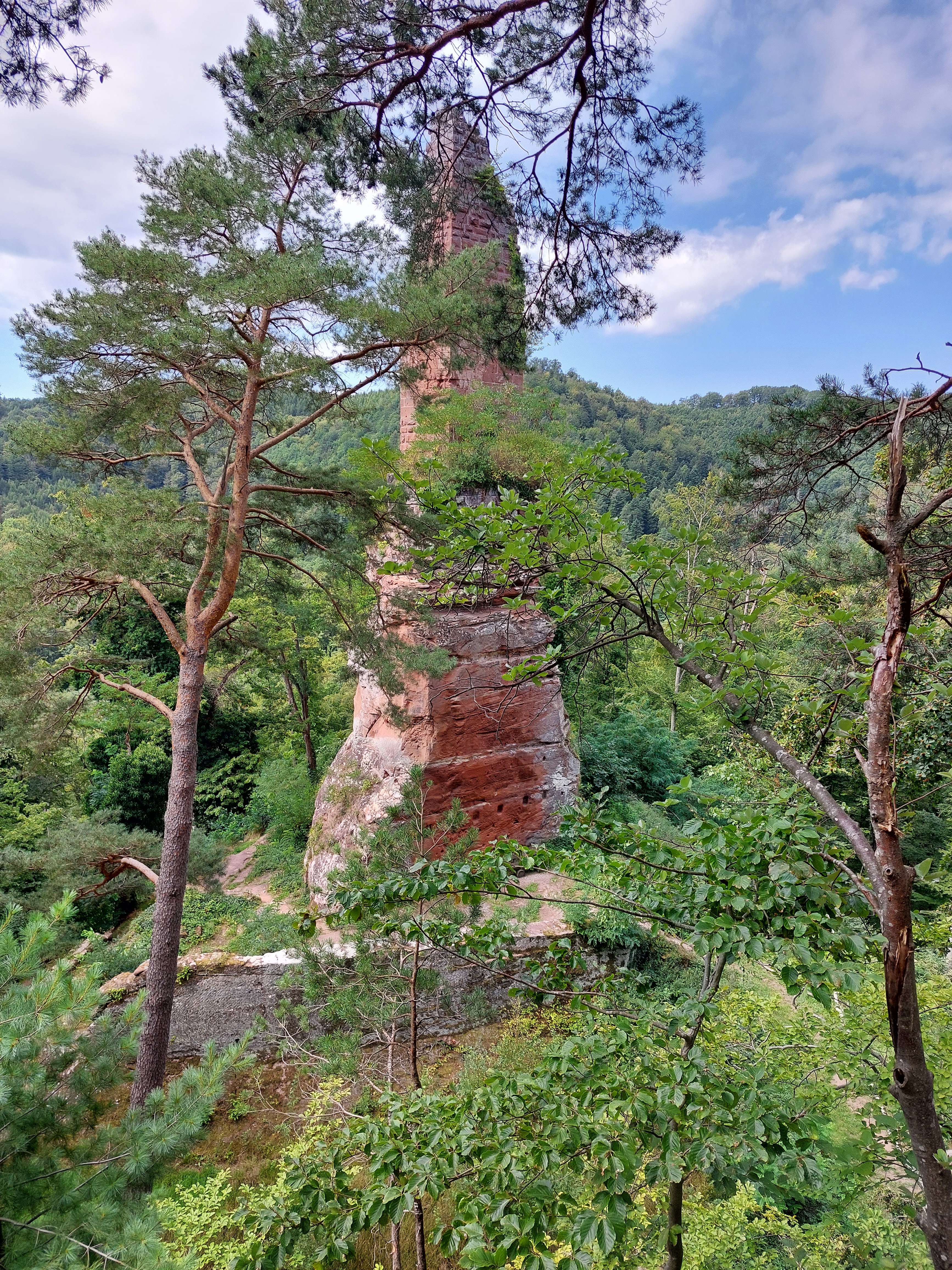 Photo n° 8 de l'avis de Sebastian.r fait le 22/08/2023 à 10:58