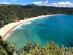 New Chums Beach'in fotoğrafı çok temiz temizlik seviyesi ile