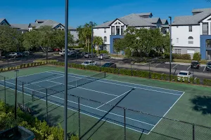 Arbors at Carrollwood Apartments image