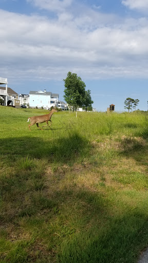 Golf Club «Peninsula Golf & Country Club», reviews and photos, 32981 Peninsula Esplanade, Millsboro, DE 19966, USA