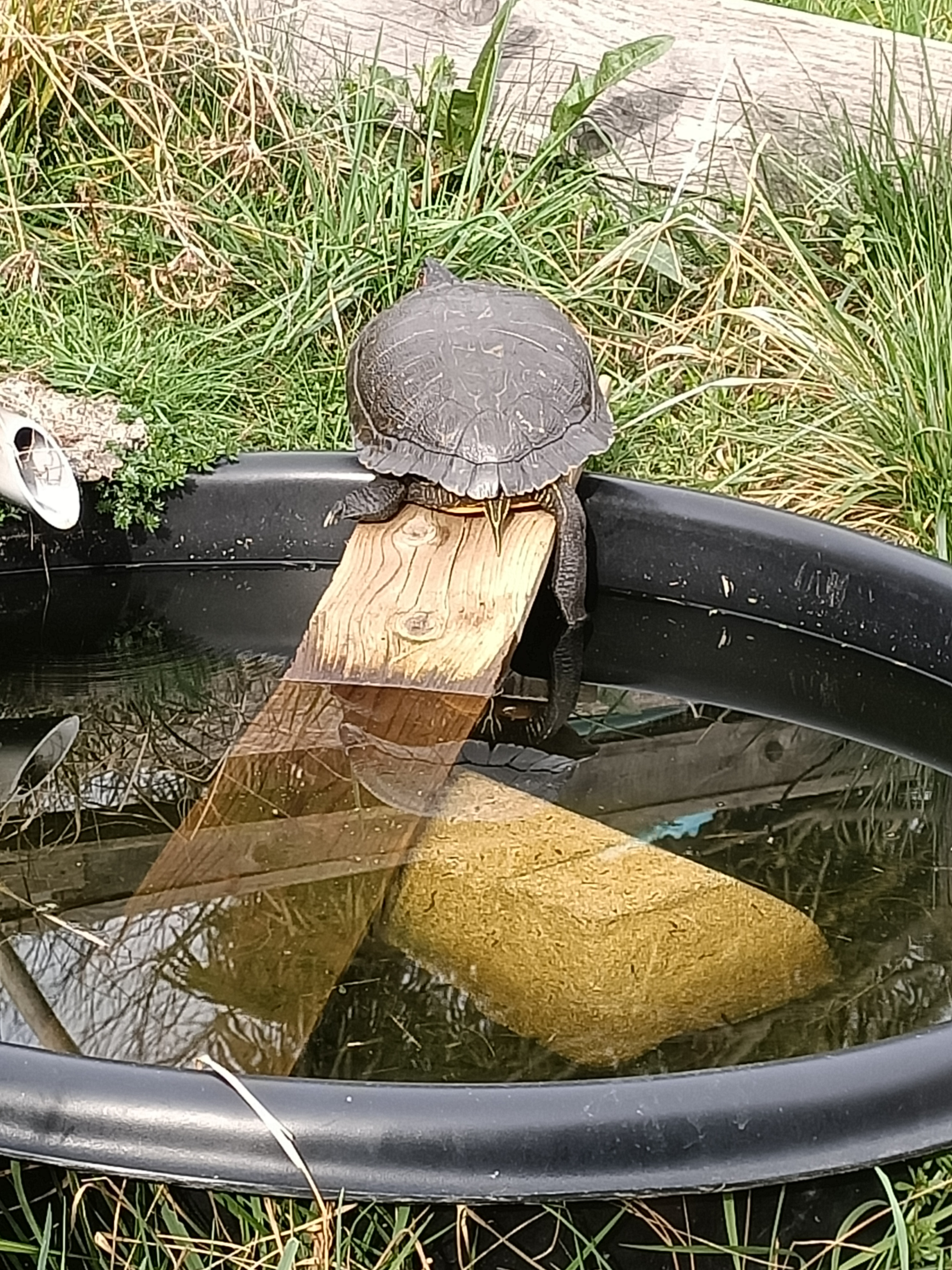 Photo n° 1 de l'avis de Dufau.a fait le 21/02/2024 à 14:51