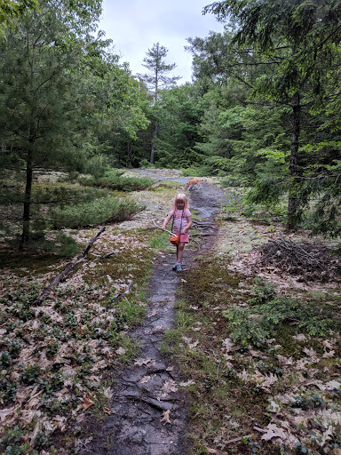 Pisgah Hill Preserve (South)