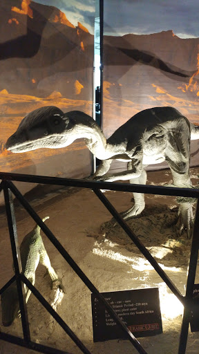 Arena «Utz Arena», reviews and photos, 334 Carlisle Avenue, York, PA 17404, USA