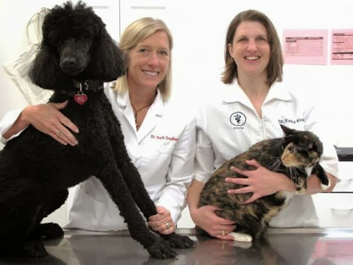 Mission Village Animal Clinic image