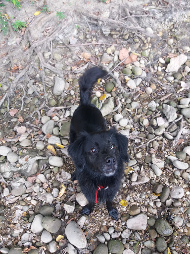 Park «Lou Berliner Park», reviews and photos, 1300 Deckenbach Rd, Columbus, OH 43223, USA