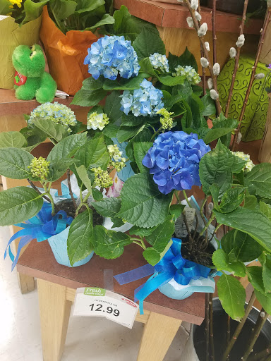 Grocery Store «Strack & Van Til Food Market», reviews and photos, 999 W Old Ridge Rd, Hobart, IN 46342, USA