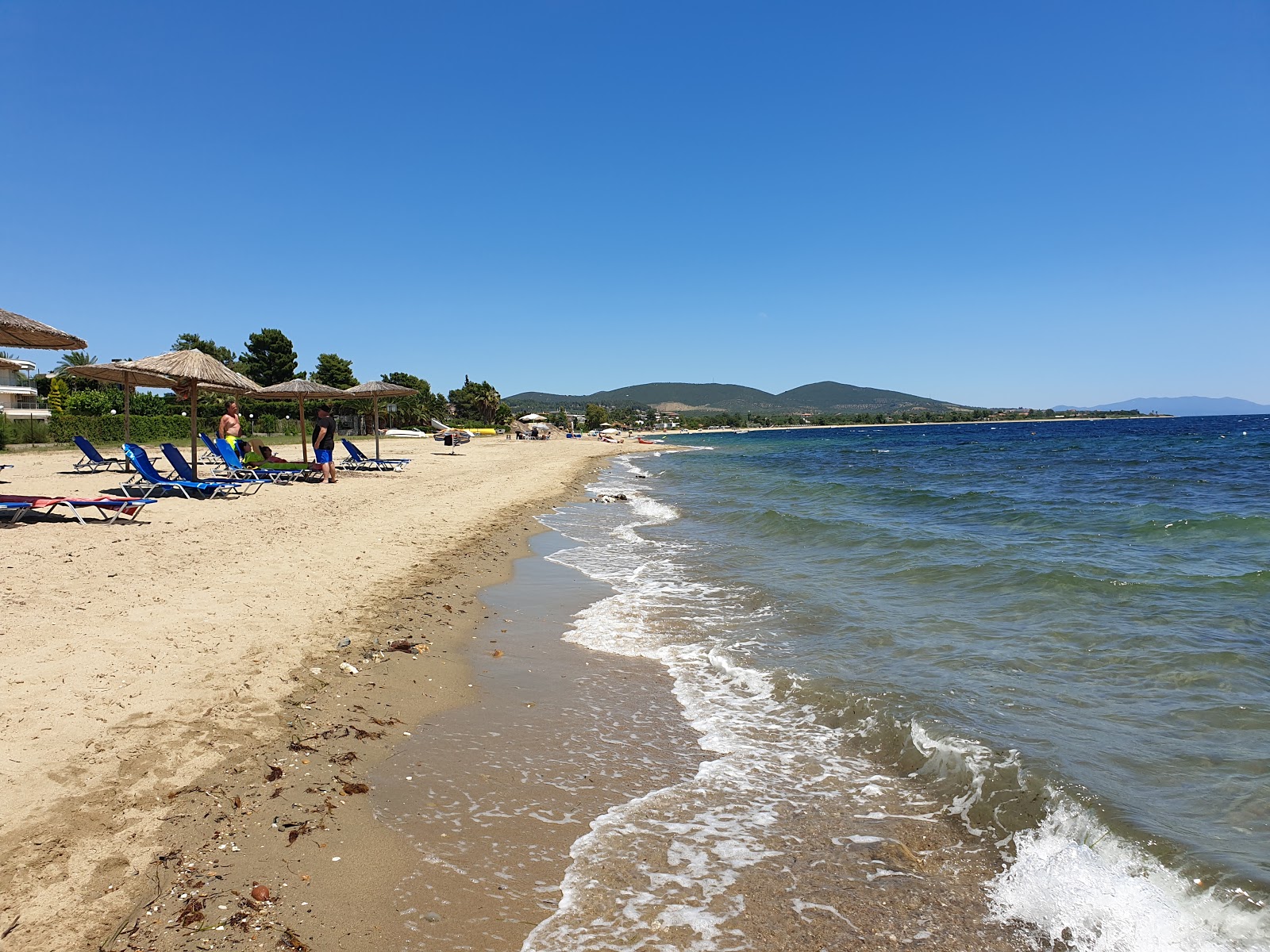 Fotografija Coral Blue beach z dolga ravna obala