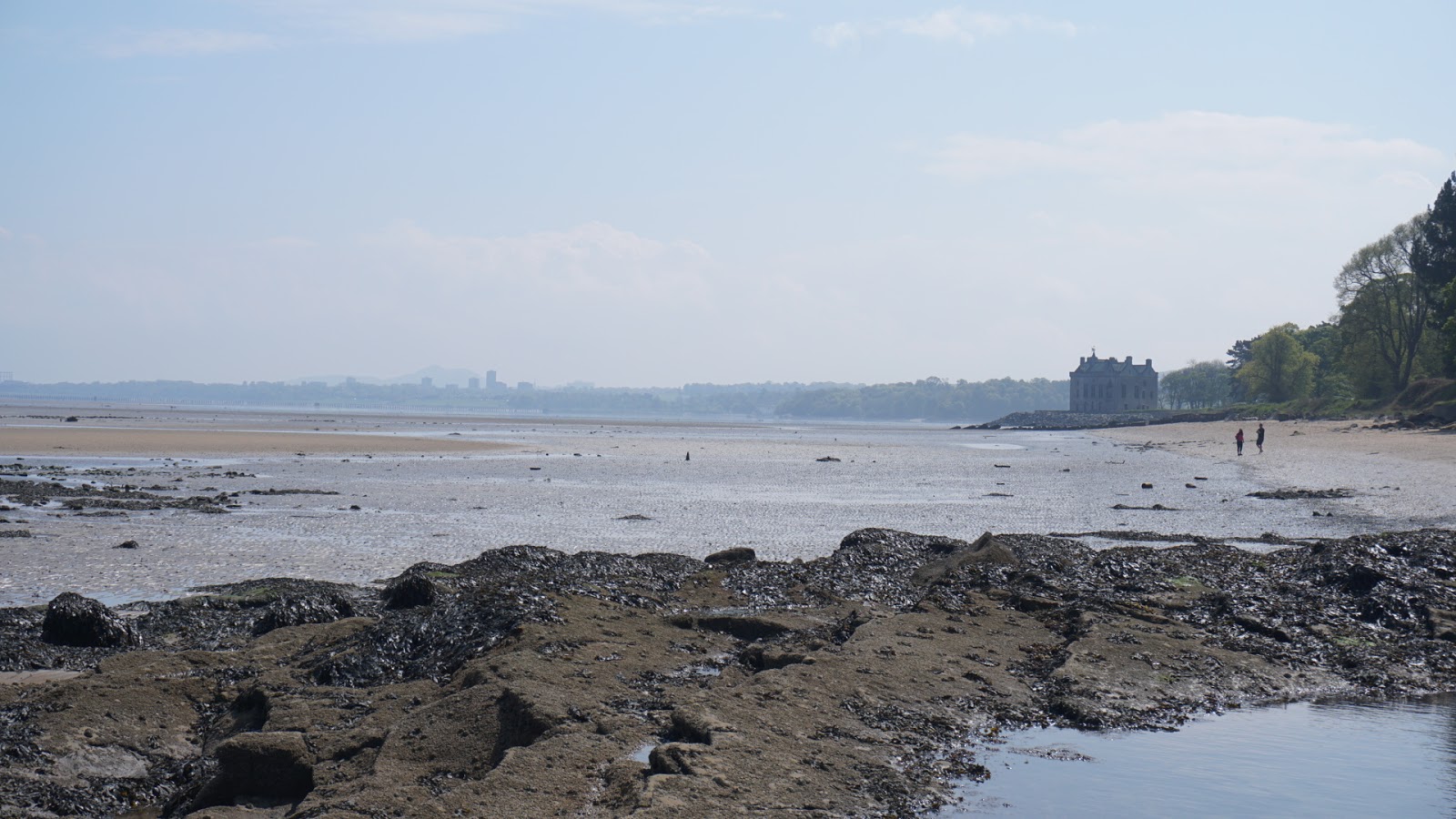 Barnbougle Castle Beach的照片 具有非常干净级别的清洁度