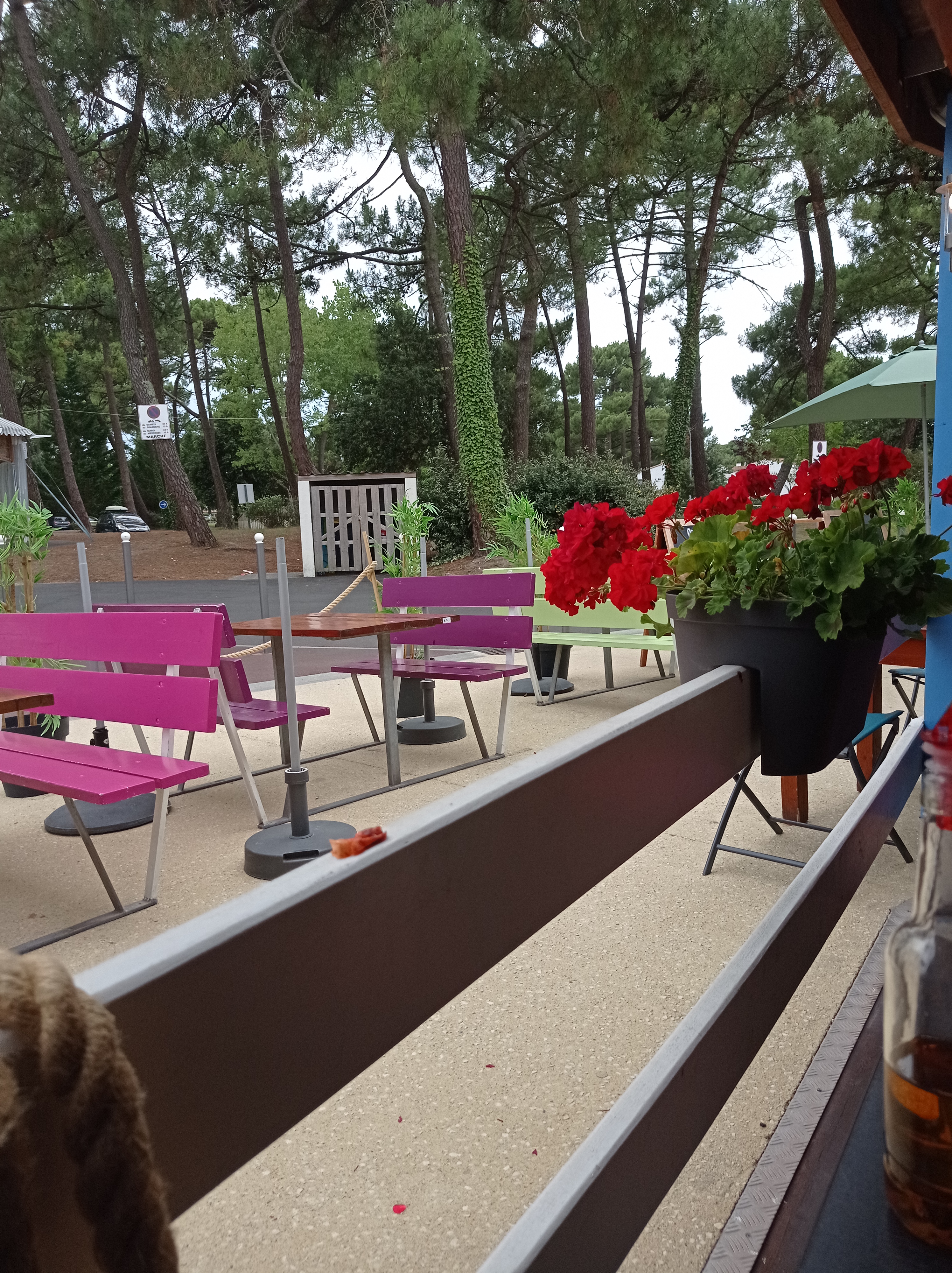 Photo n° 1 de l'avis de Thierry.e fait le 23/07/2021 à 12:23