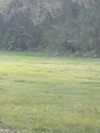 Park «Tree Tops Park», reviews and photos, 3900 SW 100th Ave, Davie, FL 33328, USA