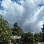 Photo n°4 de l'avis de Gabriele.e fait le 28/08/2021 à 14:28 sur le  Trattoria del Giardino Panoramico di Dantimi Lucia à Castel San Pietro Romano