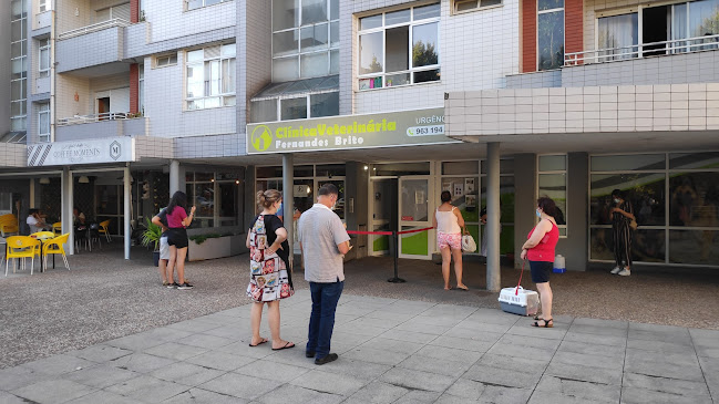 Clínica Veterinária Fernandes Brito