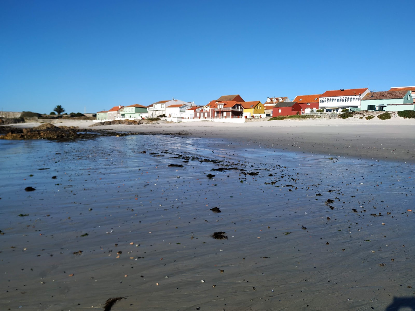 Prado beach'in fotoğrafı vahşi alan