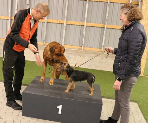 DogCenter.dk in Broby, Faaborg-Midtfyn