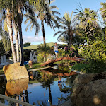 Photo n°8 de l'avis de Marko.i fait le 19/10/2019 à 18:50 sur le  Hotel Mediterraneo à Santa Maria Navarrese (Ogliastra)