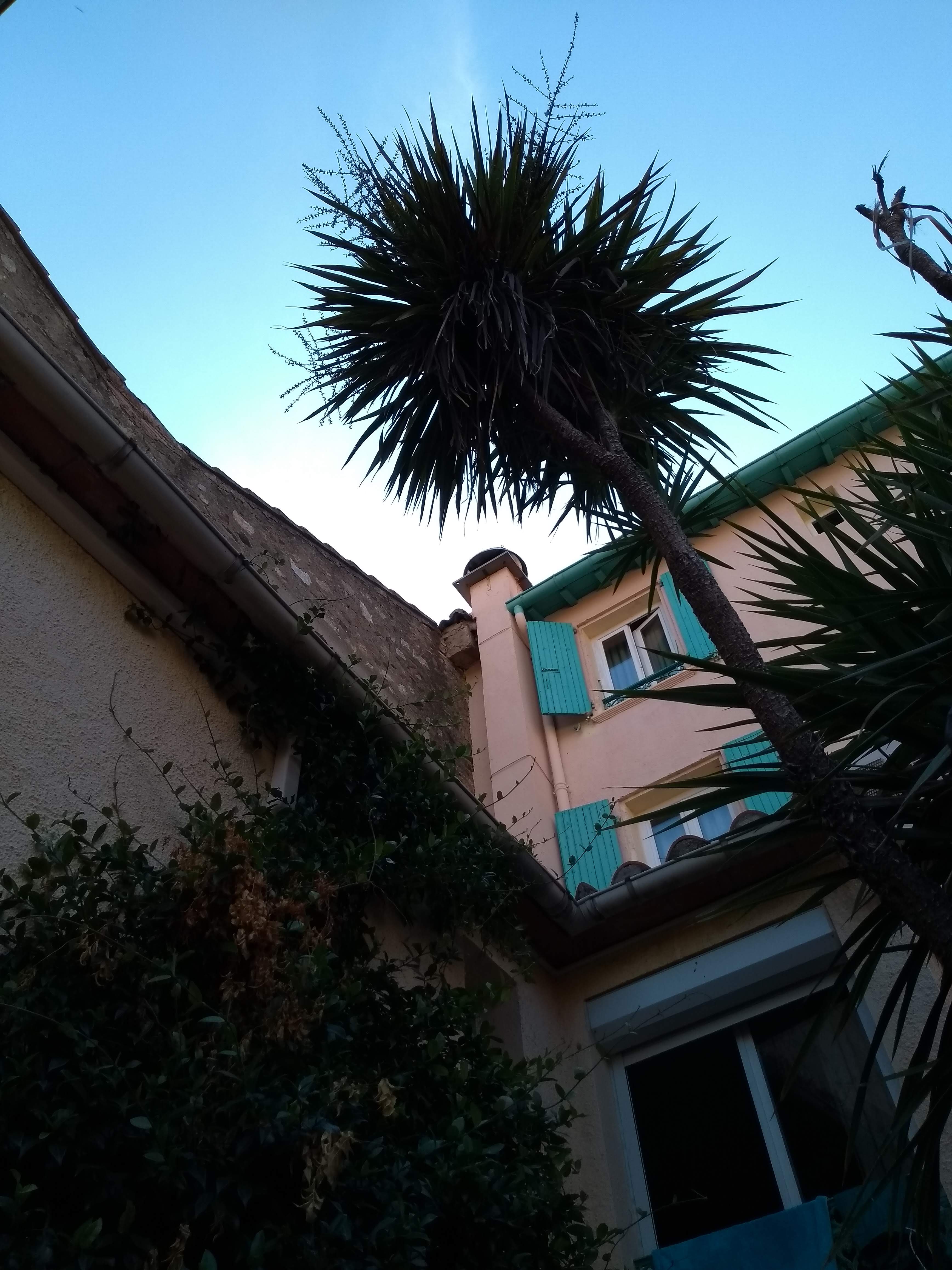 Photo n° 2 de l'avis de Baba.a fait le 09/07/2018 à 17:35