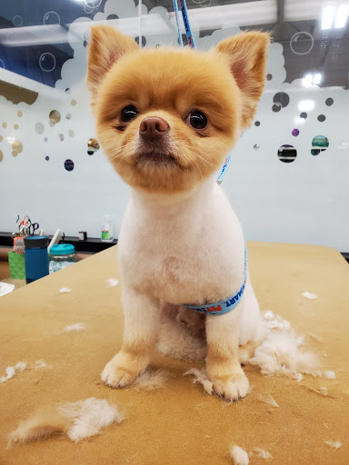 Pet Supply Store «PetSmart», reviews and photos, 4120 E 4th St, Ontario, CA 91764, USA