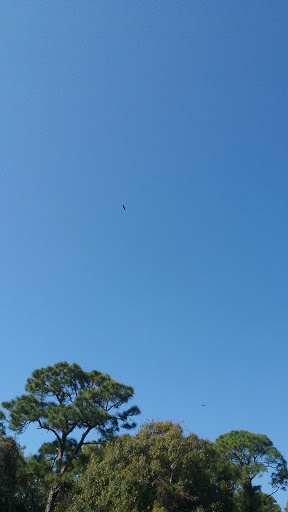 Nature Preserve «Woodmont Natural Area», reviews and photos, 7250 NW 80th Pl, Pompano Beach, FL 33321, USA