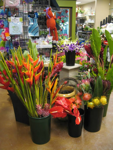 Florist «Best Wishes Floral», reviews and photos, 689 Winnetka Ave N, Golden Valley, MN 55427, USA