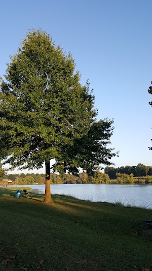 City Park - photo 12