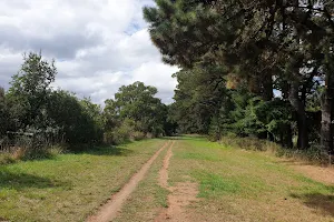Red Hill Rail Trail image