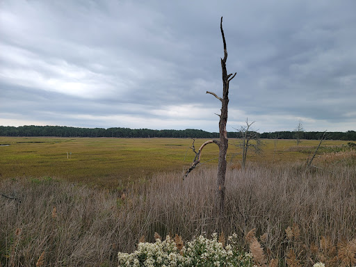 Nature Preserve «James Farm Ecological Preserve», reviews and photos, 30048 Cedar Neck Rd, Ocean View, DE 19970, USA