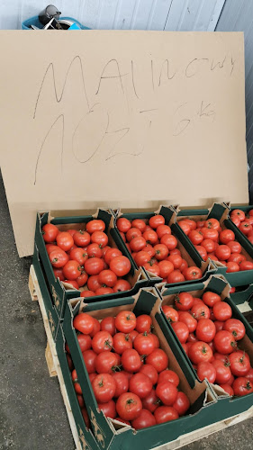 Numer telefony do "Rolno-Spożywczy Rynek Hurtowy" S.A.