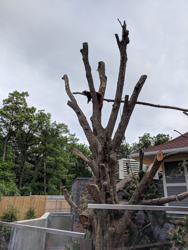 Zoo «Seneca Park Zoo», reviews and photos, 2222 St. Paul Street, Rochester, NY 14621, USA