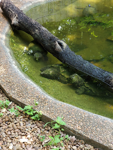 Tourist Information Center «Woodlands Nature Station», reviews and photos, 3146 Silver Trail Rd, Cadiz, KY 42211, USA