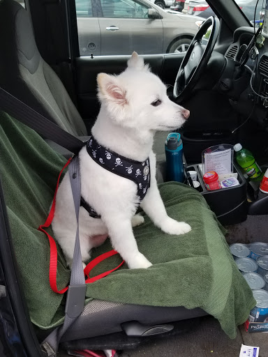 Pet Supply Store «PetSmart», reviews and photos, 5890 Trussville Crossings Pkwy, Birmingham, AL 35235, USA