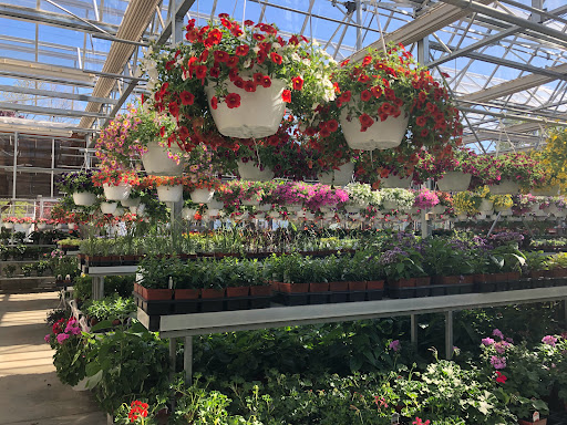 Produce Market «E Draghi & Son Farm Stand», reviews and photos, 86 Main St, South Glastonbury, CT 06073, USA