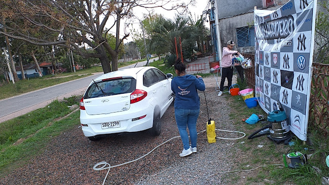 Opiniones de Lavadero Naya en Ciudad del Plata - Servicio de lavado de coches