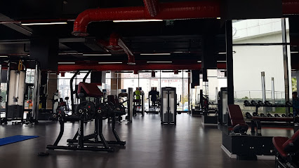 FERRUM GYM - Cumhuriyet, Erdemli Sk., 34520 Beylikdüzü Osb/Beylikdüzü/İstanbul, Türkiye