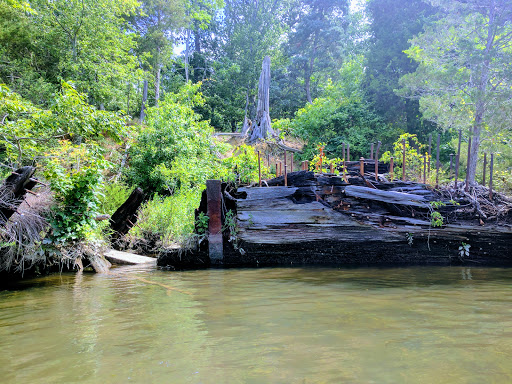 Tourist Attraction «Mallows Bay», reviews and photos, 1440 Wilson Landing Rd, Nanjemoy, MD 20662, USA