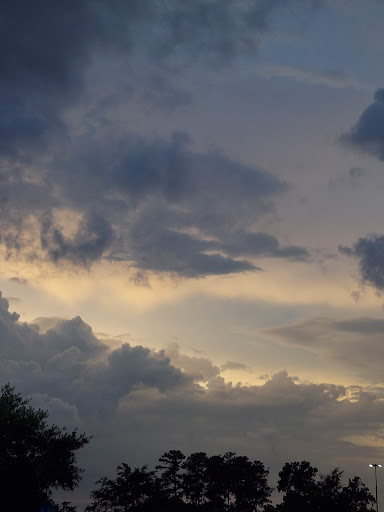 Department Store «Walmart Supercenter», reviews and photos, 5226 Sigmon Rd, Wilmington, NC 28403, USA